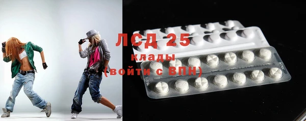 ГАЛЛЮЦИНОГЕННЫЕ ГРИБЫ Аркадак