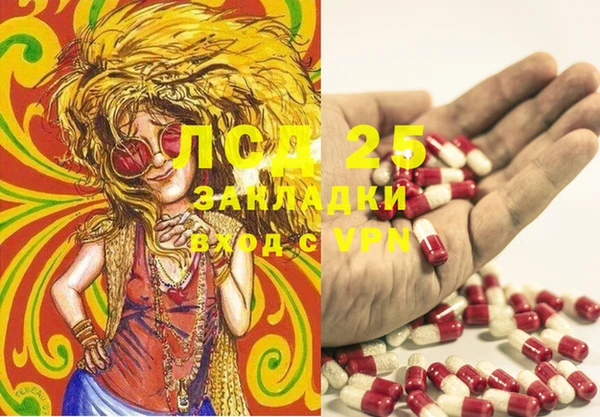 ГАЛЛЮЦИНОГЕННЫЕ ГРИБЫ Аркадак